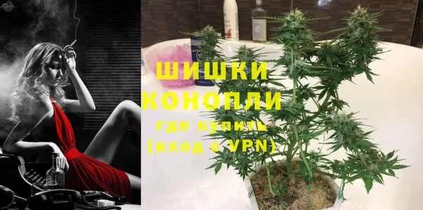 прущие крисы Инта