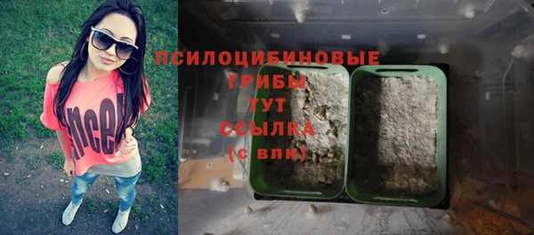 ГАЛЛЮЦИНОГЕННЫЕ ГРИБЫ Зеленодольск